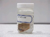 藏品(飄浮蝴蝶魚)的圖片